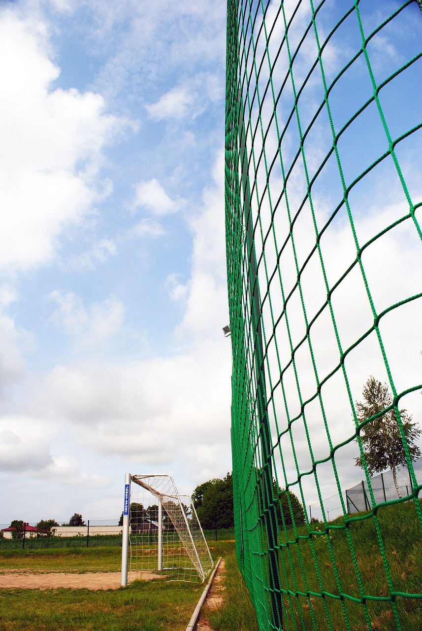 曼联引援总监评谢什科：速度快、弹跳强，风格有点像哈兰德