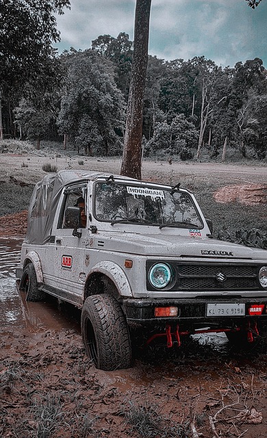 利物浦的阵 利物浦的阵