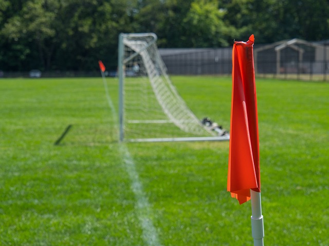 许并非单一 许并非单一