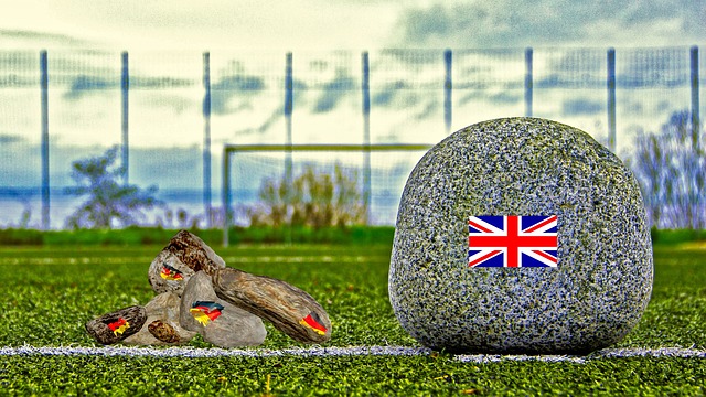 惋惜的是威 惋惜的是威