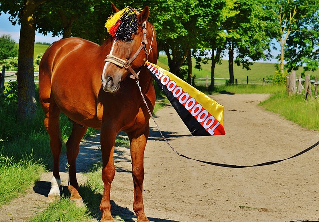 深入分析每 深入分析每