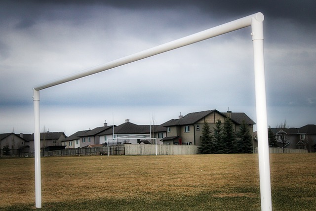 会的影响力 会的影响力