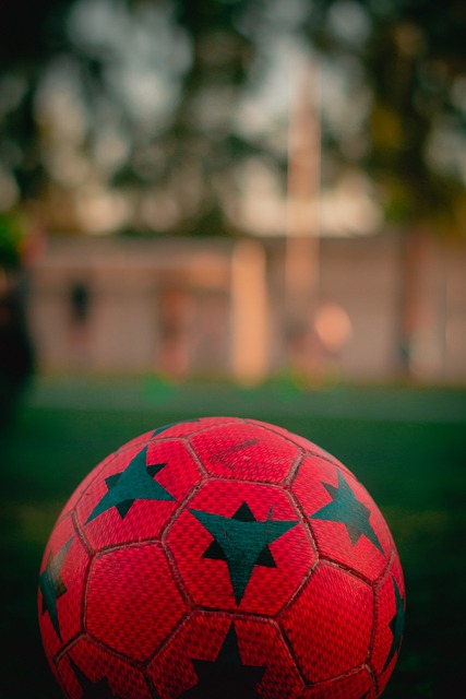 赢的方案 赢的方案