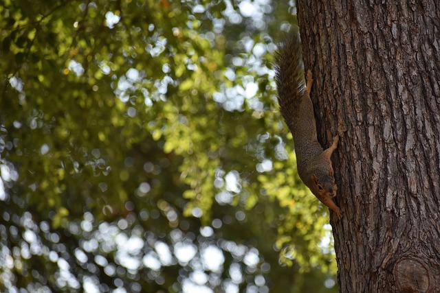 GP的跨界 GP的跨界