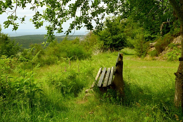 星球员和教 星球员和教