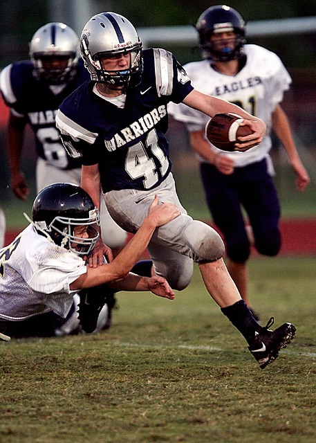 球迷无疑也 球迷无疑也